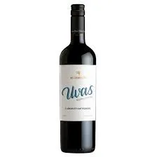 MI TERRUÑO UVAS CABERNET 750 CC