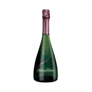 NAVARRO CORREA ROSE